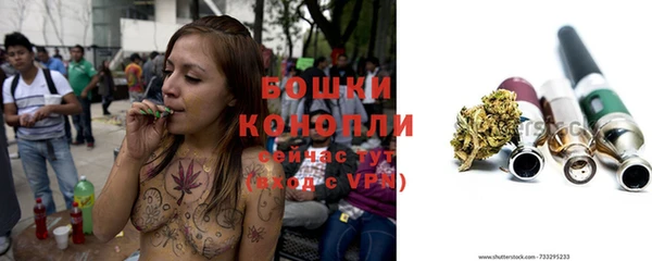 прущие грибы Майский