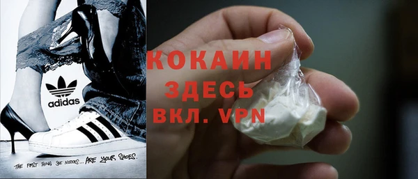 твердый Магас