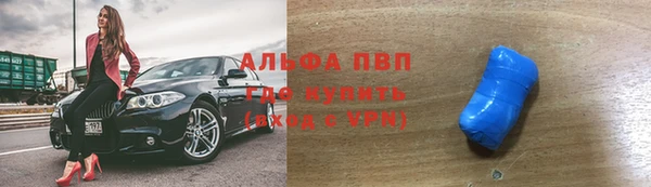 прущие грибы Майский