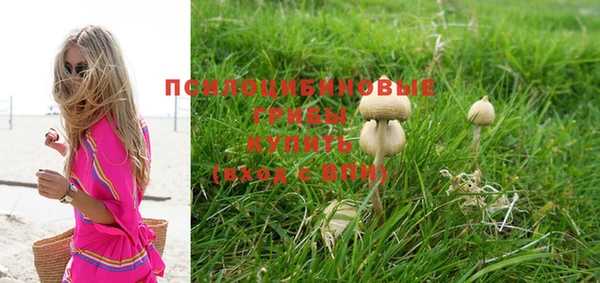 прущие грибы Майский