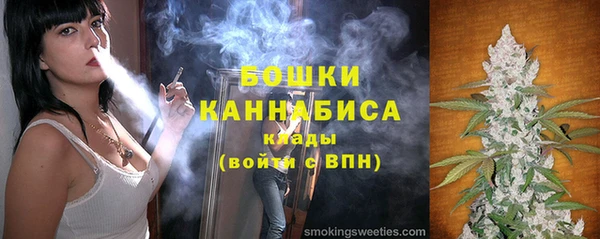 твердый Магас