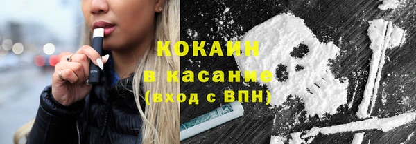 прущие грибы Майский