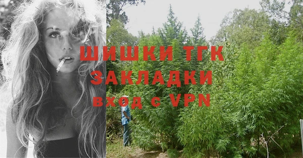 твердый Магас