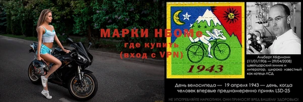твердый Магас