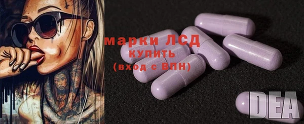 твердый Магас